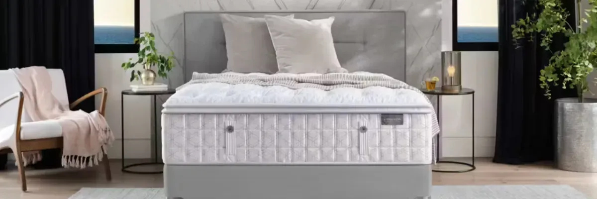 Aireloom Luxetop Firm Mattress